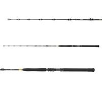 DAIWA BG Big Game, 3 parti, Canna da Pesca da Barca, progressivo