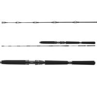 DAIWA BG Deep Sea 2,20m/150-300g/30lbs Canna da Pesca da Barca Vergella