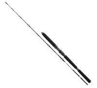 DAIWA BG Deep Sea, Canna da Mare