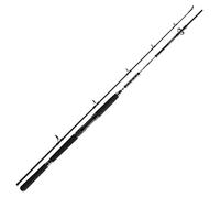 Daiwa BG Offshore Boat - Canna da barca, 2,40 m, 150-400 g