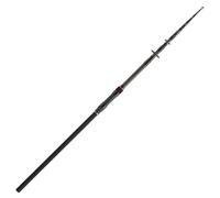 DAIWA Black Widow XT - Canna da pesca alla carpa, 3,9 m, 1,6 kg, 60-100 g, 8 parti, per pesca alla carpa