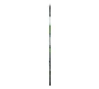 Daiwa Canna da Pesca Bolognese AMORPHOUS INFINITY R 6 MT