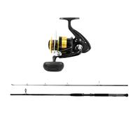 DAIWA D-Wave Combinato 2,70m 21-112g Set Pesca Allroundcombo Pesante Spinncombo