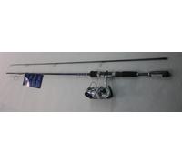 Daiwa DShock Combo Spinning Reel (2 Piece), 5'6 by