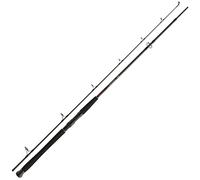 Daiwa Exceler Catfish Spin EXCCS 135G, 2,7 Metri, 0-135 Grammi, 2 Sezioni, Canna da Pesca al Siluro, 11819-272