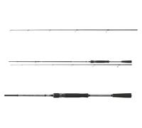 DAIWA Fuego Predator Spin, 2.40m, 10-40g, 2 Sezioni, Veloce, Canna da Pesca Predatori, 11124-240