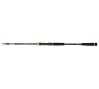DAIWA Legalis Tele Allround, 2,4 m, Pesa esca 4,8-19,8 g, 5 sezioni, Canna da Pesca Telescopica