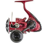 Daiwa Moulinet Spinning Bg Lt RR Ark - 295g - R.6.2-105cm - Dg.12Kg - Bgrrlt5000Dcxhark