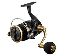 Daiwa Mulinello 23BG SW 6000D-H