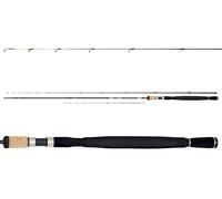DAIWA N' Zon Eccellente Slim 11 " / 3,35m / fino A 100g Power Alimentatore