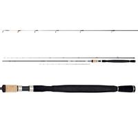 DAIWA N' Zon Super Slim Method Feeder 10 " / 3,05m/A 40g Vergella Barra di Terra