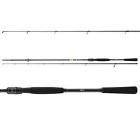 Daiwa Prorex X Extra Fast Spin 2,05M 20-60G Canna Da Pesca 2 Pezzi