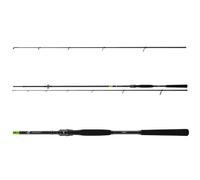 Daiwa Prorex X Spin - Canna da spinning, 2,70 m, 40-100 g