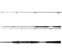 DAIWA SEAHUNTER X PILK COALFISH, 40-120g, 2 parti, Canna pesca pilk, Aktion fast