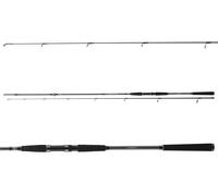 DAIWA SEAHUNTER X SEA TROUT, 3,1m, 10-40g, 2 parti, Canna Pesca, 11533-312