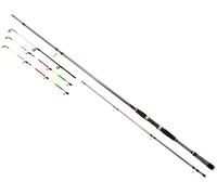 DAIWA Seahunter X Variotip 2,70m 30-110g Canna da Pesca Barra di Terra