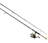 Daiwa Set Pesca Spinning Combo 1,98 m 7-21 g Ruten Black Carbon + Mulinello 2500