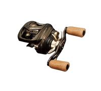 DAIWA Silver Cr ir TW Stream Custom Baitcastrolle 8,5L