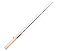 DAIWA Sweepfire Spin 2,70m 40-100g Canna Girevole 2-teilig Spin Rute