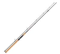 Daiwa Sweepfire Spin - Canna da Pesca, 2,40 m, 30-70 g
