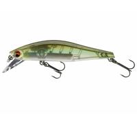 Daiwa Tournament Wise Minnow 70FS 7cm 7.5g Sinking Esche NUOVI COLORI