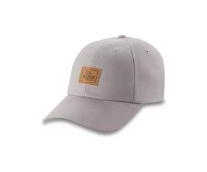 Dakine getaway ball cap grey brown