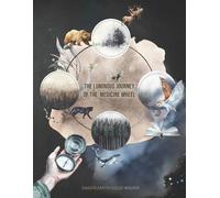 Dakota Earth Cloud Walker The Luminous Journey of the Medicine Wheel (Tascabile)