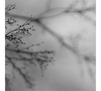 Dakota Suite, Dag Rosenqvist and Emanuele Errante What Matters Most (CD) Album