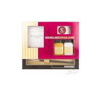 Dal Molin Set Iniziale kolner con Instacoll Base e attivatore, Pennello,Tessuto e Foglia Oro