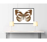 Dal Negro 53365 - Stress