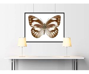 Dal Negro 53365 - Stress