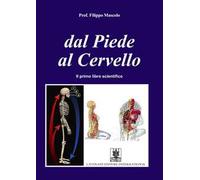 Dal piede al cervello