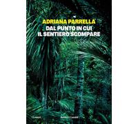 Dal punto in cui il sentiero scompare