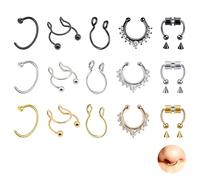 DALAETUS 15 Pezzi Anello da Naso con Setto Magnetico Set- Piercing Naso Finto, Acciaio Inox Septum Finto Naso, Colore Acciaio, Oro, Nero, Gioielli per Septum per Donne Uomini