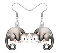 DALANE Carino acrilico anime Possum orecchini pendenti goccia animali gioielli opossum regali per donne ragazze charms, M, Acrilico