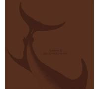 Dale Cooper Quartet/ - Dale Cooper Quartet + Witxes