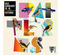 Dale Earnhardt Jr. Jr. - Patterns