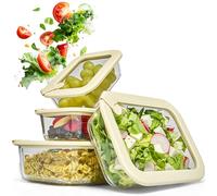 Dalena Home® Contenitore in Vetro Borosilicato Rettangolare con Coperchio Set 1x370ml, 1x640ml, 1x1020ml, 1x1520ml - Fiambriera Cristallo, Contenitore Alimenti, Conservazione Frigorifero