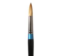 Daler Rowney Aquafine Acquerello Pittura Spazzole IN Assortito Forme E Taglie