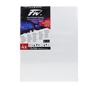 Daler-Rowney FW ,Tela mista 30x41 cm, tripla preparazione di base ,pronte all uso