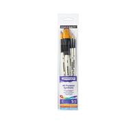 Daler Rowney - set 5 pennelli linea GRADUATE