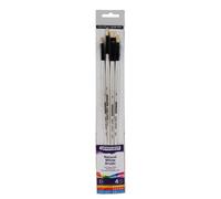 Daler Rowney - Set di pennelli con setole Naturali Graduate, 4 pz.