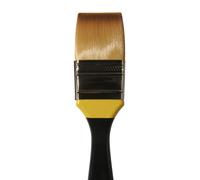 Daler Rowney Sistema 3 Pittura Acrilica Spazzole Assortito Misure E Forme