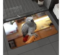 DALEXHM Tappetino da Bagno 40x60 cm,Pappagallo, il pappagallo dalla coda rossa e dalle piume grigie sulla sedia di,Antiscivolo,Morbido Assorbente, in Microfibra,Lavabile in Lavatrice,per Vasca,Doccia