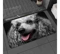 DALEXHM Tappetino da Bagno 50x80 cm,animale, ritratto di barboncino grigio con soffici capelli grigi ricci e occhi,Antiscivolo,Morbido Assorbente, in Microfibra,Lavabile in Lavatrice,per Vasca,Doccia