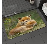 DALEXHM Tappetino da Bagno 50x80 cm,Animali, due tiche volpi, sdraiate sull'erba, che emanano innocenza e tranquil,Antiscivolo,Morbido Assorbente, in Microfibra,Lavabile in Lavatrice,per Vasca,Doccia