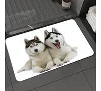 DALEXHM Tappetino da Bagno 50x80 cm,Tema animale Bianco Vivido Due cani Siberian Husky che si coccolano,Antiscivolo,Morbido Assorbente, in Microfibra,Lavabile in Lavatrice,per Vasca,Doccia