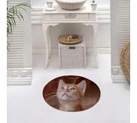 DALEXHM Tappetino da Bagno 60x60 cm,Animale, un gattino angelo con ali e alone, che guarda il cielo,Antiscivolo,Morbido Assorbente, in Microfibra,Lavabile in Lavatrice,per Vasca,Doccia