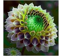 Dalia fiore,Dalia bulbi,bulbi di dalia gigante,Bulbi da fiore resistenti,Splendide piante ornamentali per giardini e vasi,Zinnia(senza semi, non artificiali,resistenti)-10bulbi-F