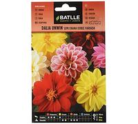 Dalia Unwin Semi Nano Doppia vda